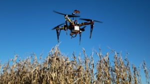 Photo of a drone hovering above a corn field.