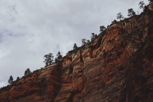 A photo of a treeline over a red dirt mountainside.
