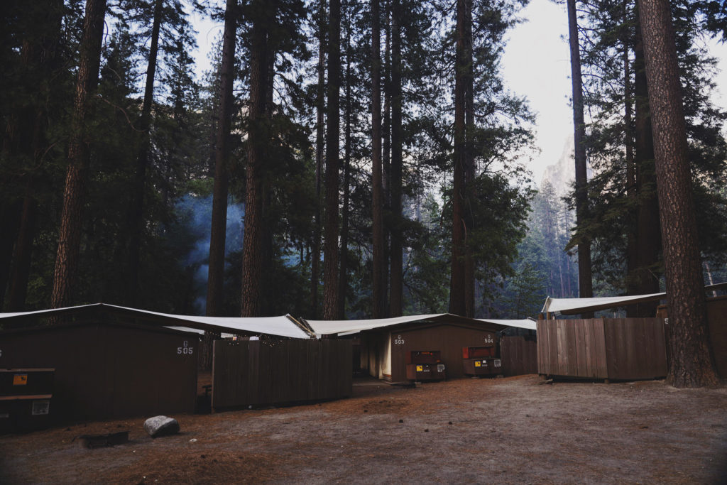 A photo of a campsite in the evening with smoke rising through tall trees.